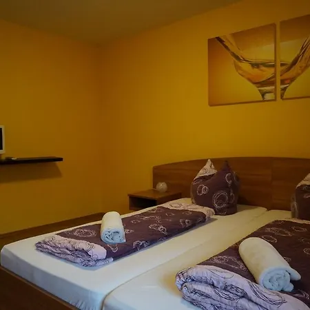 Bella Montana Konukevi Fügen