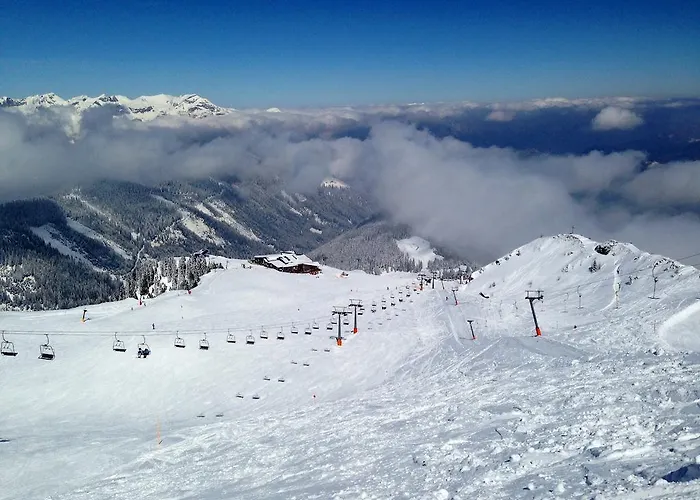 Bella Montana 푸겐